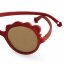 Slnečné okuliare LION Sienna