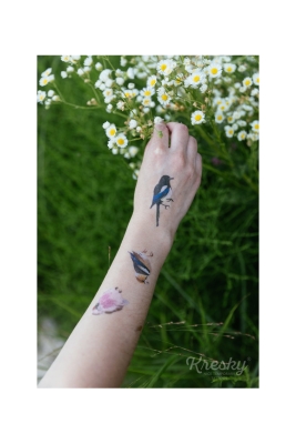 Tetovačky Vtáky