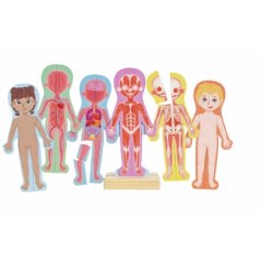 Magnetické puzzle Ľudské telo