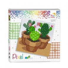 Kaktus 4set Pixel
